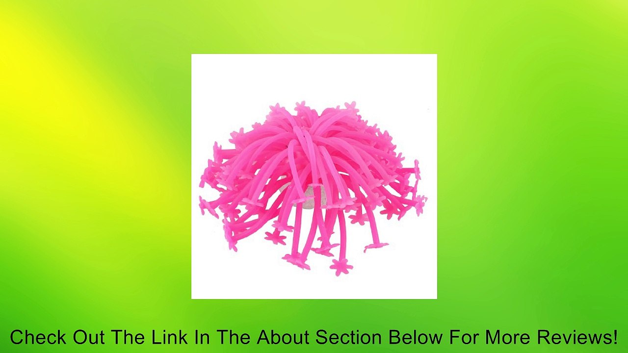Ceramic 3.5cm Dia Base Pink Silicone Coral Decoration for Fish Tank Aquarium Review