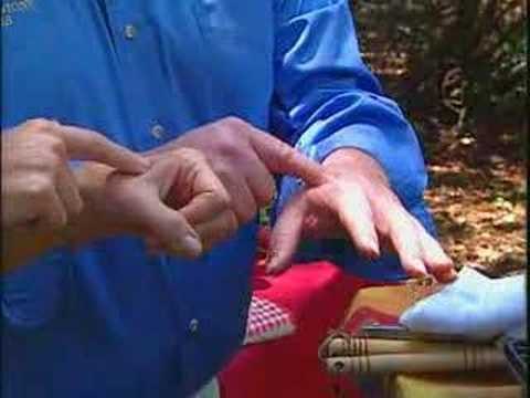 The Balancing Act Show 827- Summer Grilling