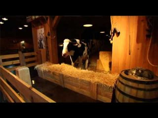 Holiday Special: a Visit to The Billy Graham Library