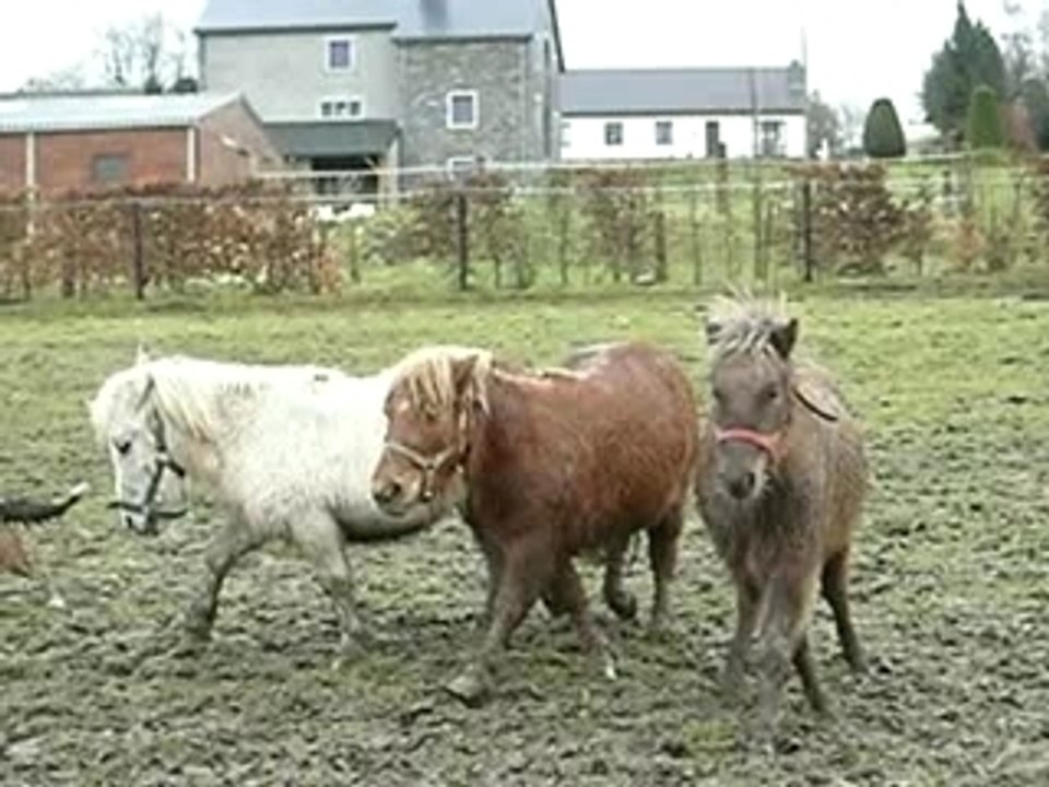 arrivée de Jonas