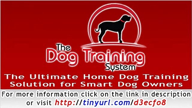 The Dog Training System - The Ultimate Home Dog Training Solution for Smart Dog Owners