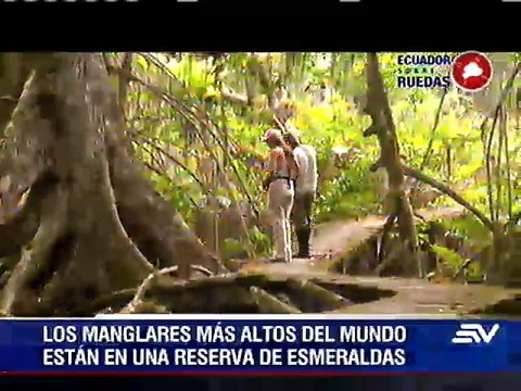 Ecuador Sobre Ruedas: Cayapas-Mataje