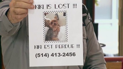 Tears of laughter    She s Drowning In Her Own Tears