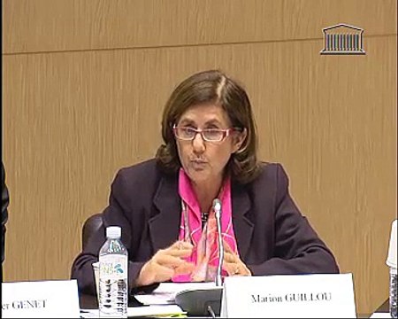 OPECST : Coordination de la recherche : ALLENVI (Alliance Nationale de Recherche pour l'Environnement) - Mardi 23 Novembre 2010