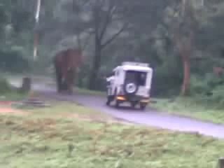 Elephant attacks Jeep in Kerala