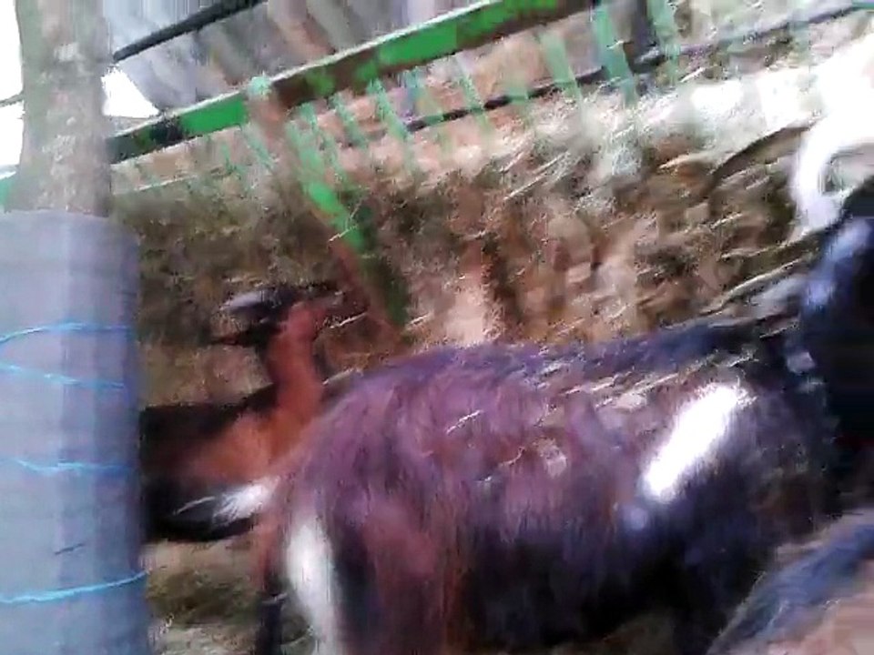 20141020_144846