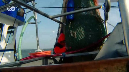 Müllkippe Meer - Kampf gegen die Plastikflut | Journal Reporter