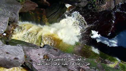 أسرار كوكبنا النابض الحلقه الرابعه العوالم المائية BBC