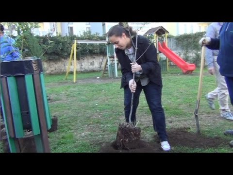 Aversa (CE) - Festa dell'Albero al Parco Balsamo (21.11.14)