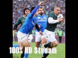 Big Rugby Match South Africa vs Italy 22 nov 2014 live