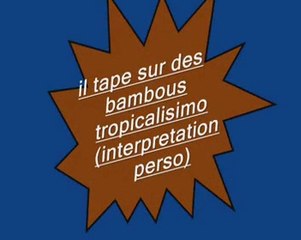 tape sur des bambous..(interpretation personnelle) 2011