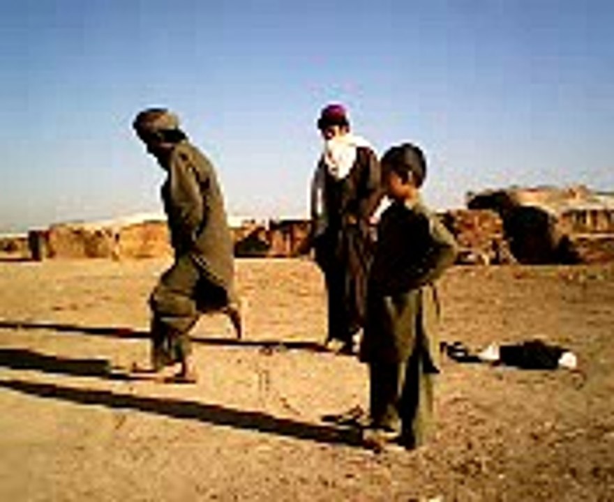 afghani local game tees
