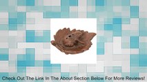 Ceramic Incense Holder Frog Terra Cotta Review