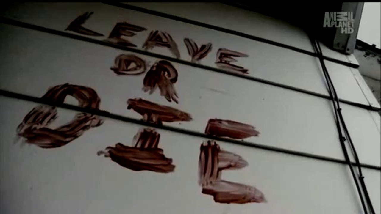 The Haunted - Leave Or Die