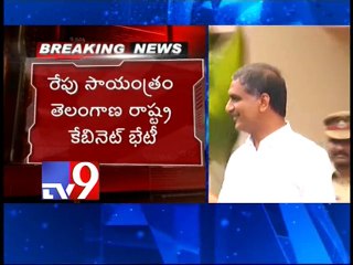 Telangana Cabinet meets tomorrow