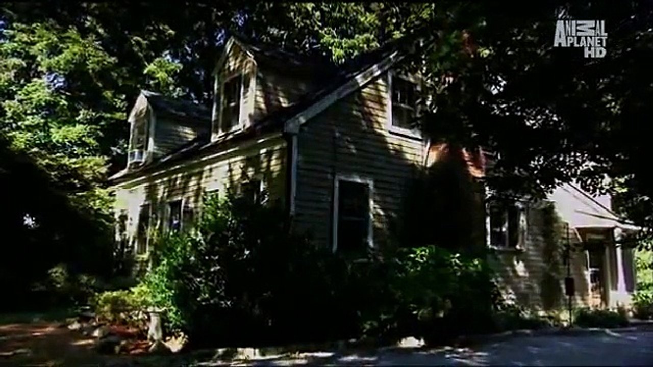 The Haunted - Invasion of the Poltergeist