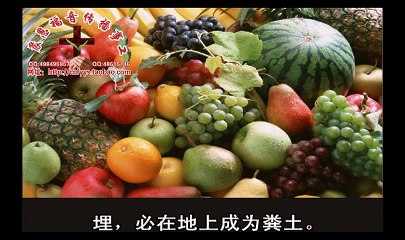 《和合本圣经视频》36c 耶利米书1