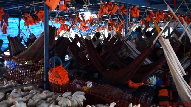 Perou- En direction d'Iquitos dans la bateau de la mort, presentation 2/2
