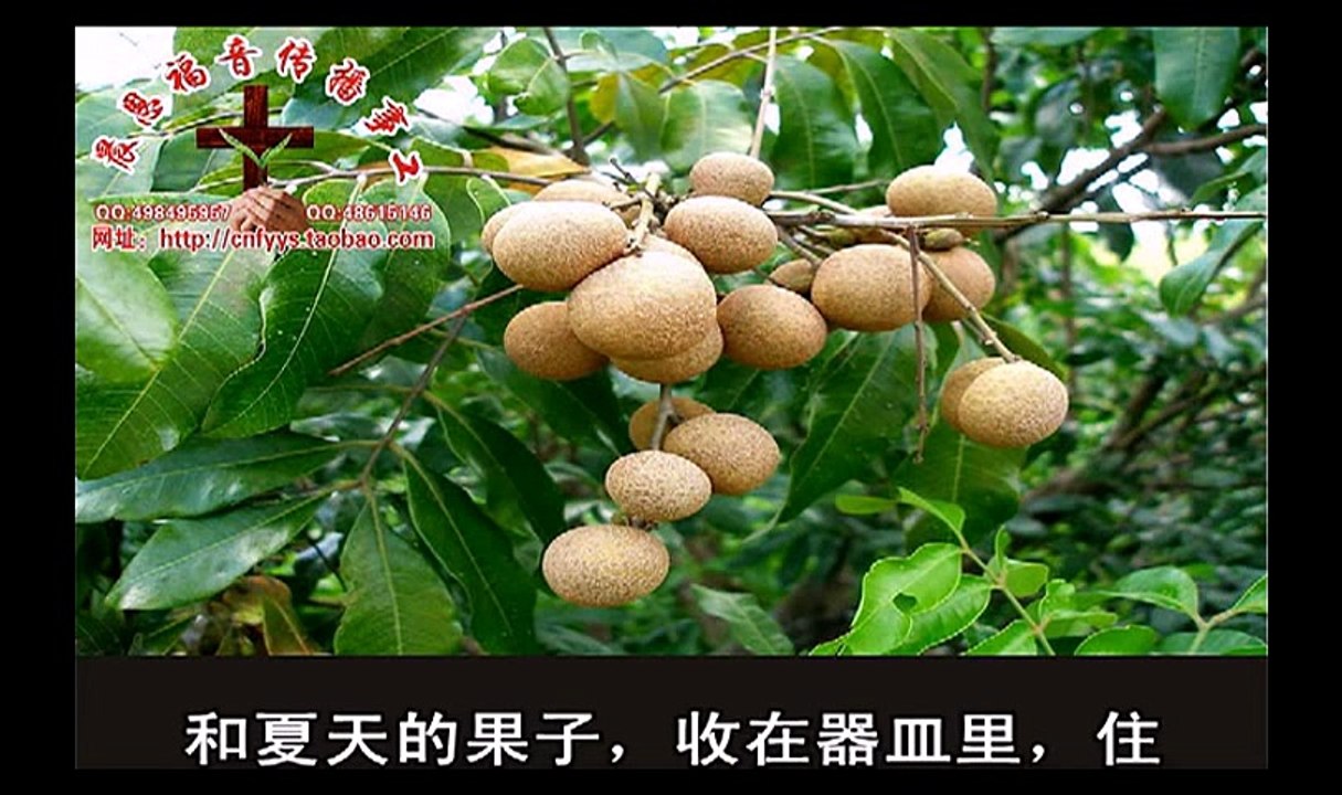 《和合本圣经视频》37b 耶利米书2
