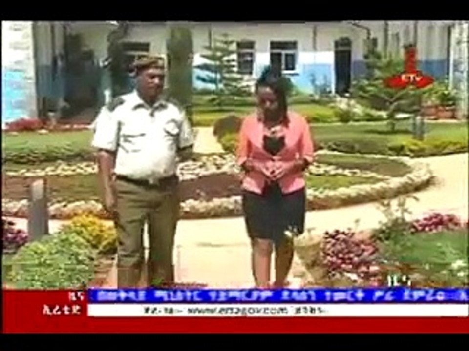 Ethiopia - 11 thousand Ethiopians working in international peace keeping mission