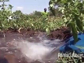 Ethiopia - Interview with PM Hailemariam