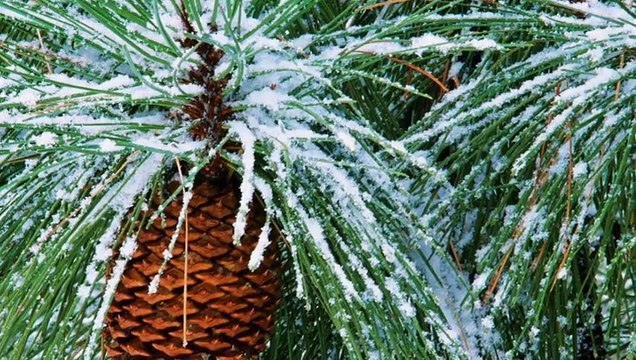 ВИА 'Пламя' - Снег Кружится