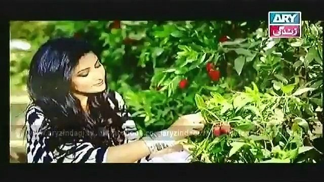 Naheed Ansari Show 22nd November 2014