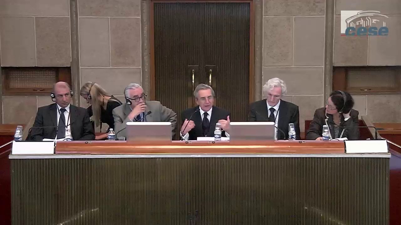 3-Les CES face aux attentes de la société civile européenne FR - cese