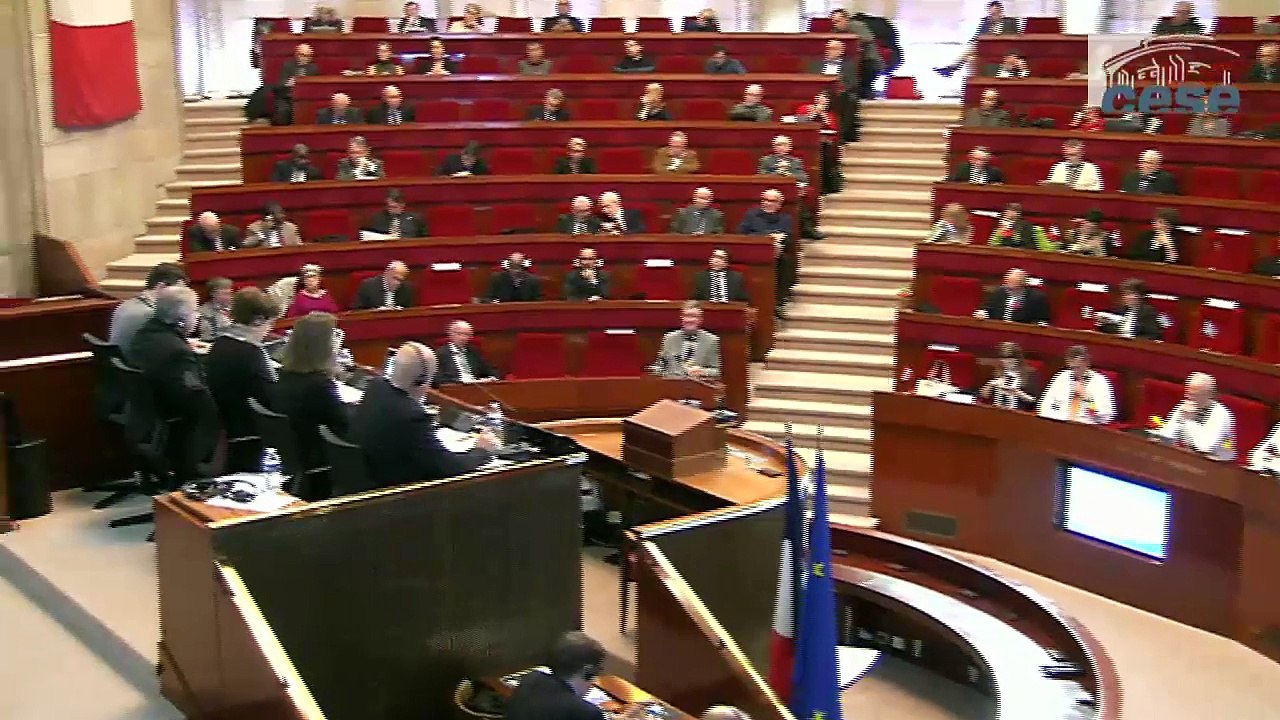 2-Les CES face aux attentes de la société civile européenne FR - cese