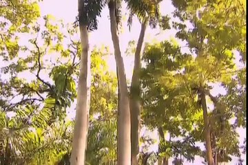 Vuélveme a Querer - Trailer