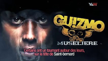 Guizmo - Muselière __ 3e Extrait __ Nouvel Album Dans ma Ruche le 15 Décembre __ Y&W_(360p)