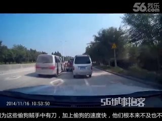 Police catch dog thieves with big blades