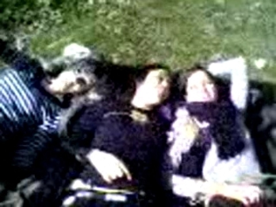 anti-mec au petit bois