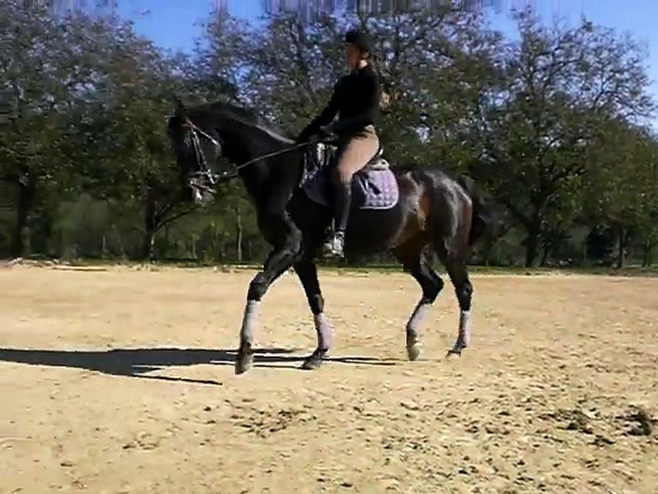 Romane Dress - Stage Laurence oct2014