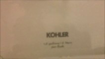 BTR-016: Kohler toilets with Kohler seats at Denny's