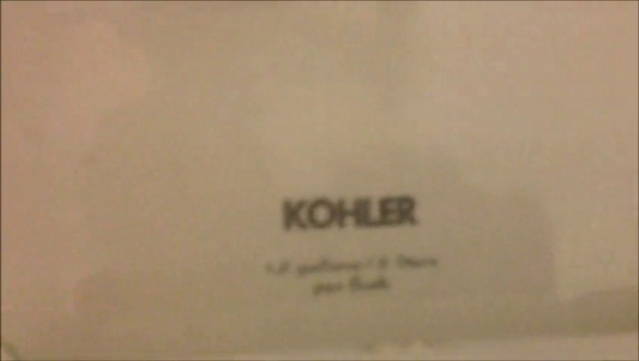 BTR-016: Kohler toilets with Kohler seats at Denny's