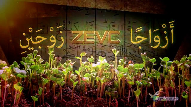 10-Bitkilerde Cinsiyet Kur'an-ın Bilimsel Mucizeleri