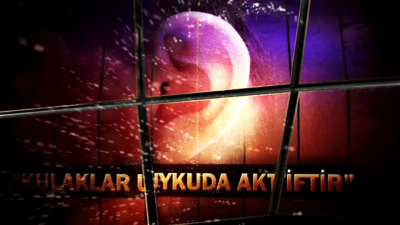 17-Uykuda Kulakların Aktif Olması Kur'an-ın Bilimsel Mucizeleri