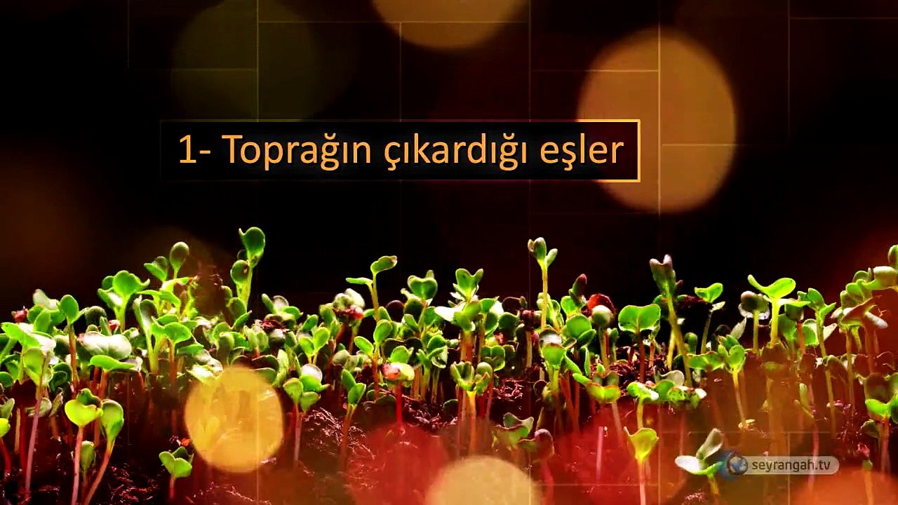 18-Yaratılıştaki Çiftler Kur'an-ın Bilimsel Mucizeleri