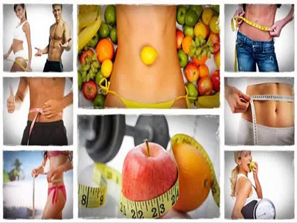 The Fat Loss Solution  Ebook Download - The Fat Loss Solution Ryan Faehnle