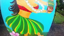 Hawaii Vacation Reel -GoPro Hero3  DJI Phantom 2 H3-D3