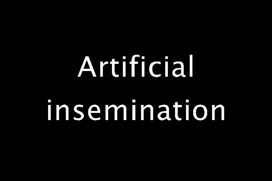 Artificial insemination
