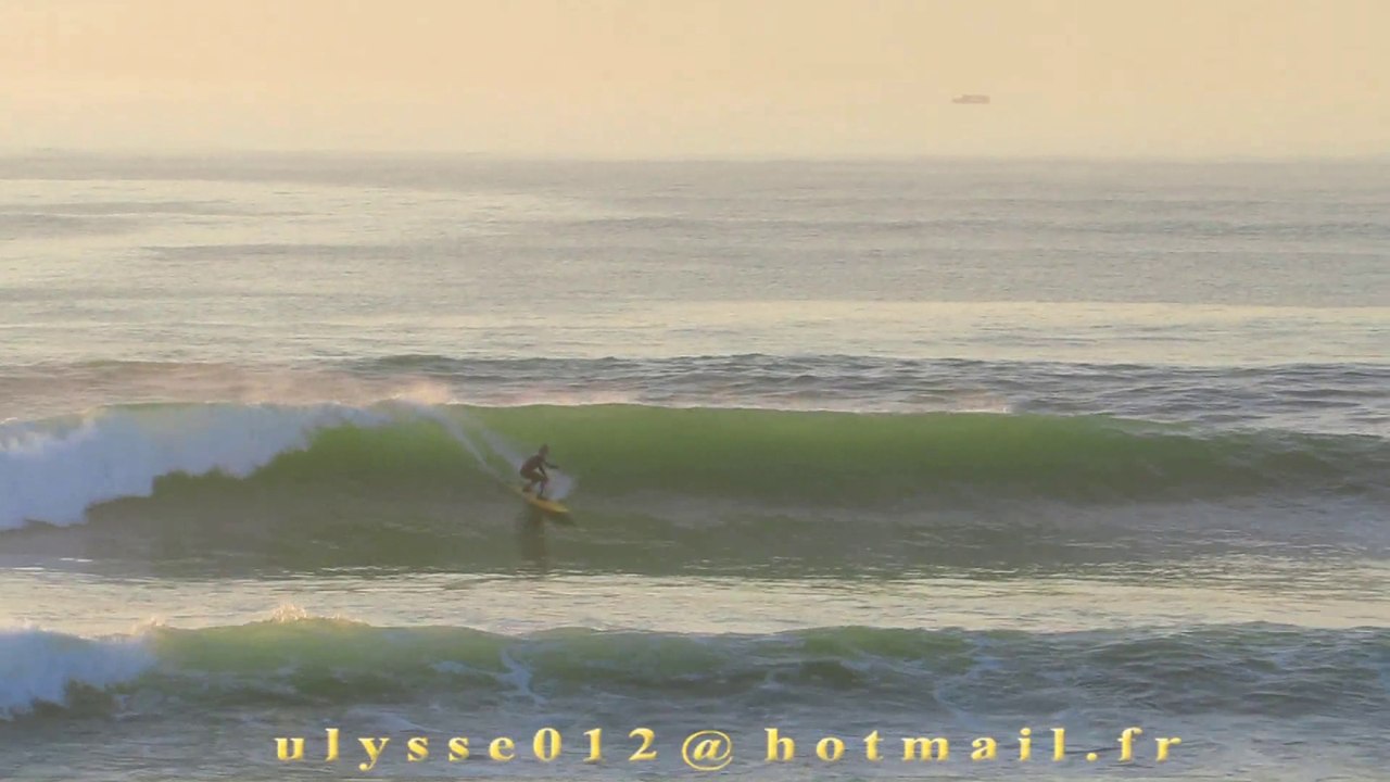 Landes Funny Left 21-11-2014