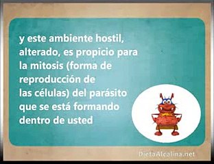 Dieta Alcalina Para Sanar y Adelgazar