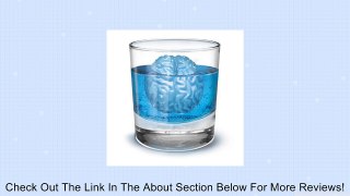 Ice Freeze Cube Silicone Tray Maker Mold Tool Brain Shape Bar Party Drink New Review