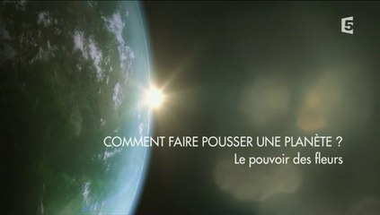 Comment Faire Pousser Une Planète ? - Episode 2 - Le Pouvoir Des Fleurs