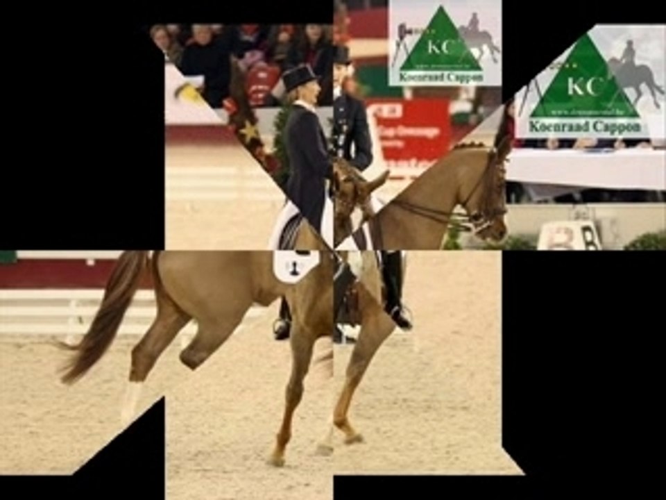 Odile van doorn et Parodie