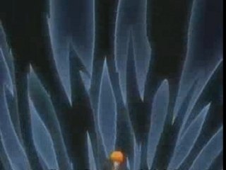 Bleach fitgh furie - ichigo-byakuya