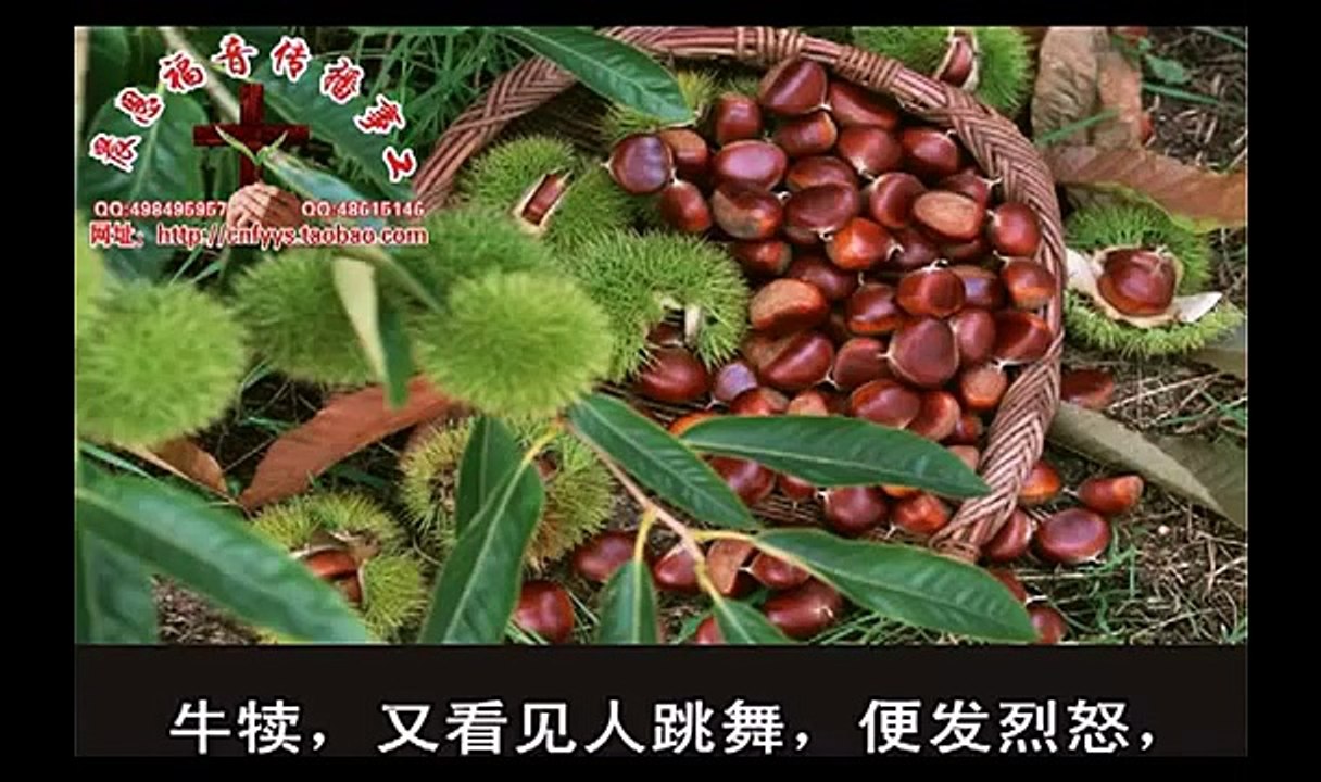 《和合本圣经视频》04b 出埃及记B