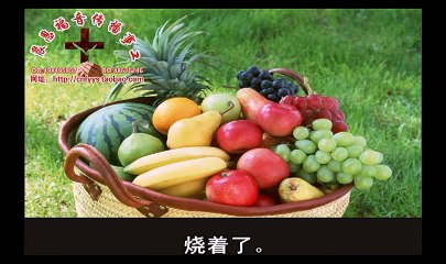 《和合本圣经视频》09b 申命记B